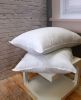 Hollow Fibre Pillows