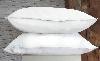 Pair of Feather Pillows